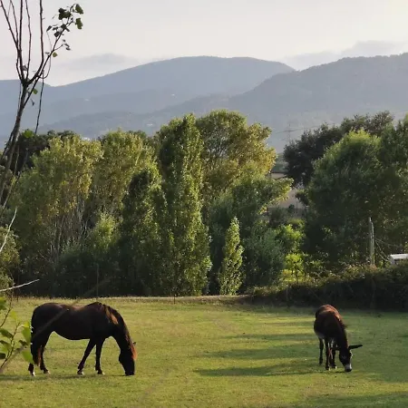 Holiday home The Avis Forest, Swimming Pool And Great Countryside Setting Fogas de Tordera