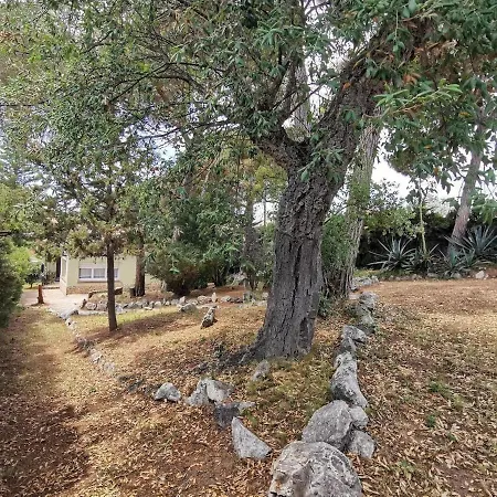 The Avis Forest, Swimming Pool And Great Countryside Setting * Fogas de Tordera