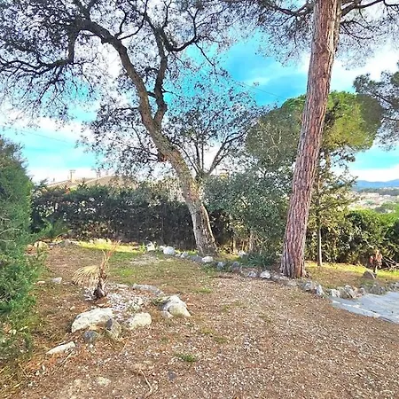 The Avis Forest, Swimming Pool And Great Countryside Setting Fogas de Tordera